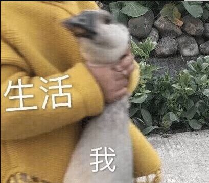  借我的钱什么时候能还亲戚着什么急,又不是不给你了