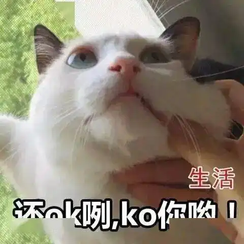 抖音最火表情包合集,每个都很赞  抖音最火表情包合集,每个都很赞