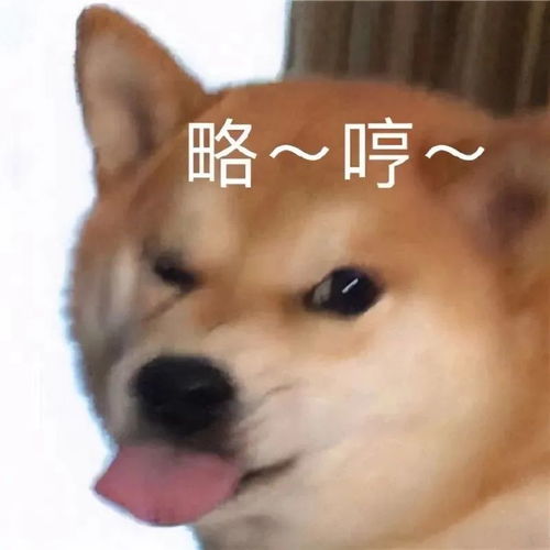  微信表情包敲个性表情包来一波