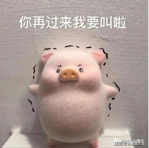  你认识的那个盖楼的万科,要开始养猪了