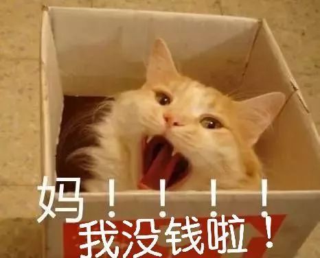  既然今天是双十一,那么........