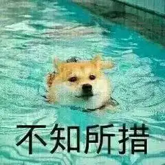  超赞接得住这一套土味情话的轰炸,那就是在下输了
