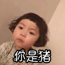 萌娃罗熙的表情包你个大笨猪