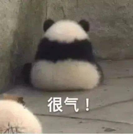  每日沙雕表情包