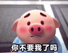  吸不上猫的同学有福了,我们给你准备了一些猪