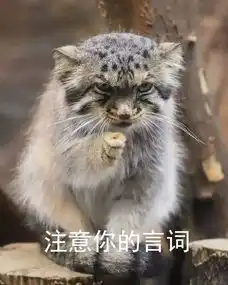  吸一口就上瘾,ta才是猫科表情包之王