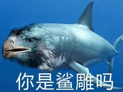 又一款沙雕游戏火出圈欢乐程度堪比综艺,连皮肤别人都帮它画好了 又一款沙雕游戏火出圈欢乐程度堪比综艺,连皮肤别人都帮它画好了