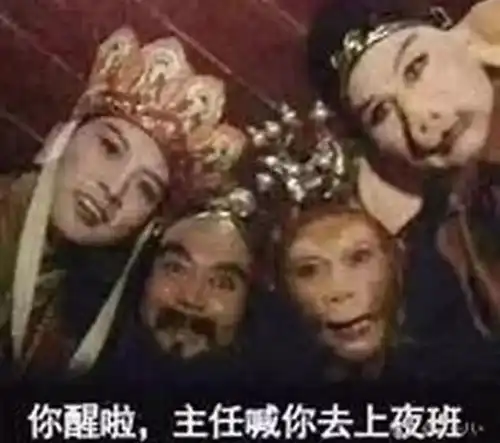  这些医学生不考研也能享受硕士研究生待遇