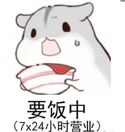  仓鼠要饭表情包
