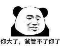  怼人表情包你大了,爸管不了你了