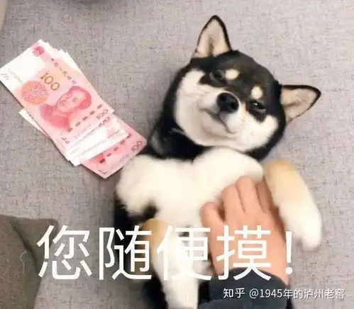  你摘抄过哪些句子