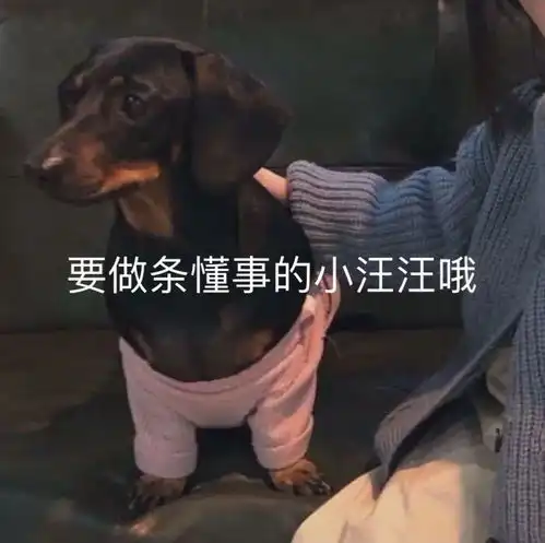  沙雕表情包l就很离谱