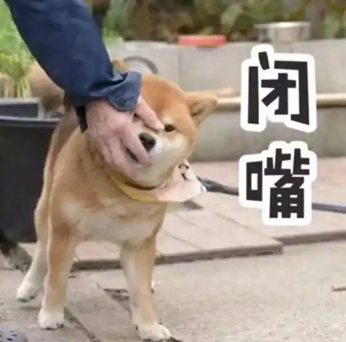  和冷战中男友的聊天记录曝光,大猪蹄子们哄人开挂了