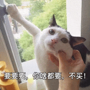  喵星人给你发来了一波表情包