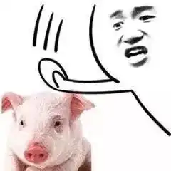 碾死我表情包爸爸