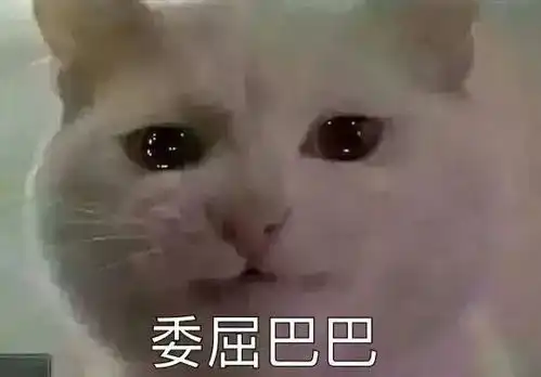  快嘴丨大众和日系今年推出的新品里,我们聊聊最憋屈的三款车