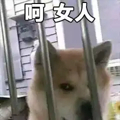 iphone表情包安卓下载雪