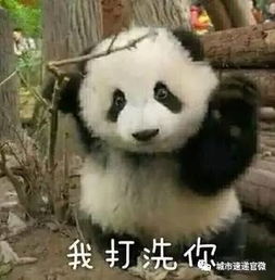  小编叨叨叨男子带浓硫酸遇安检谎称是酒民警打开喝一口拿走