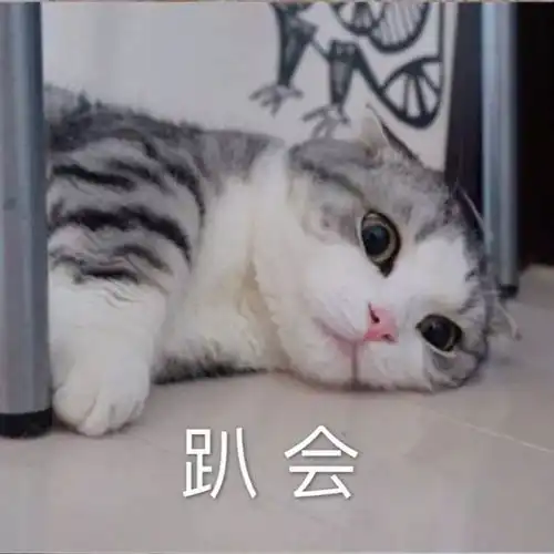 难受的表情包可爱猫咪