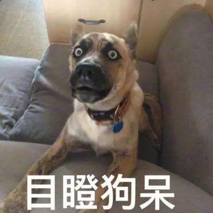  有哪些传统节日在当代比古代更火