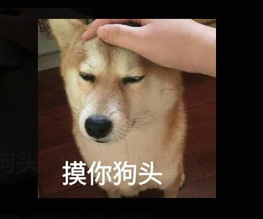  男生给你发摸狗头表情是什么意思,女生给男生发摸狗头呢