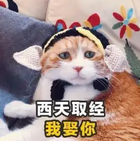  土味情话表情包