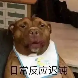  每日欢乐那些傻不拉几的的表情包