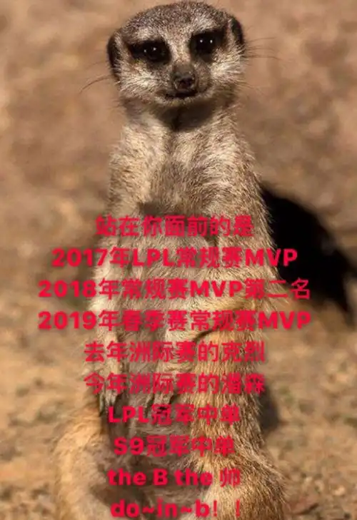 令人头大的表情包沙雕