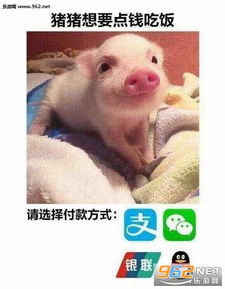  猪猪想要点钱吃饭表情包图片低头整理我的伤悲民国表情包图片下载乐游网游戏下载