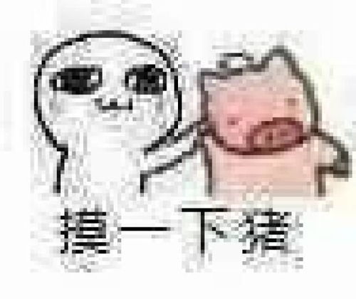  你的表情包该换血了保证你出门斗图再也不输