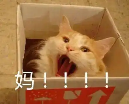  当代中国妈妈图鉴这是我妈本人没错了,哈哈哈哈哈