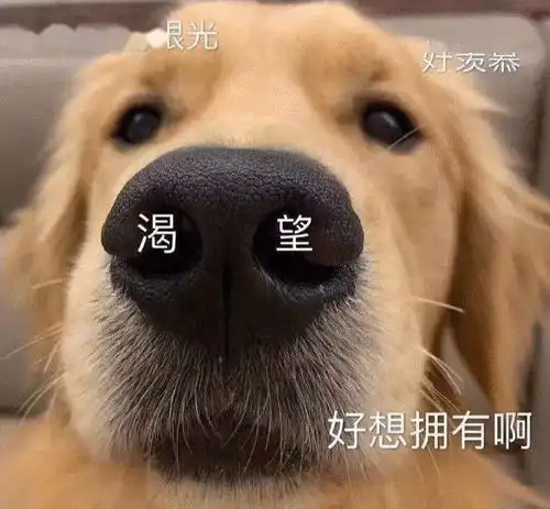  八款超好用的秋冬护手霜安利,最便宜的不到30元