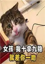  女孩我十拿九稳就差你一吻表情包猫咪土味情话带字表情包下载乐游网游戏下载