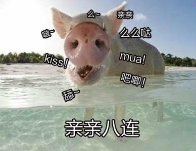吃薯片的表情包吧唧