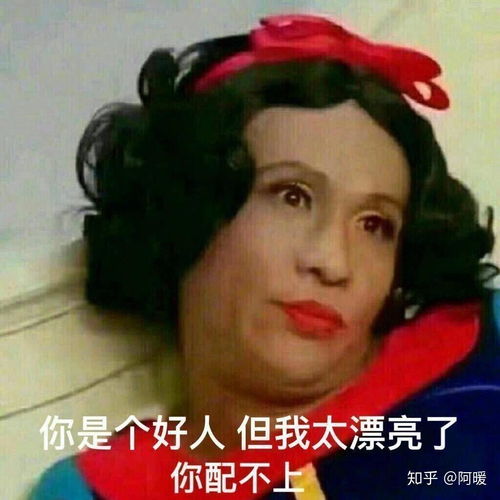  每天更新表情包