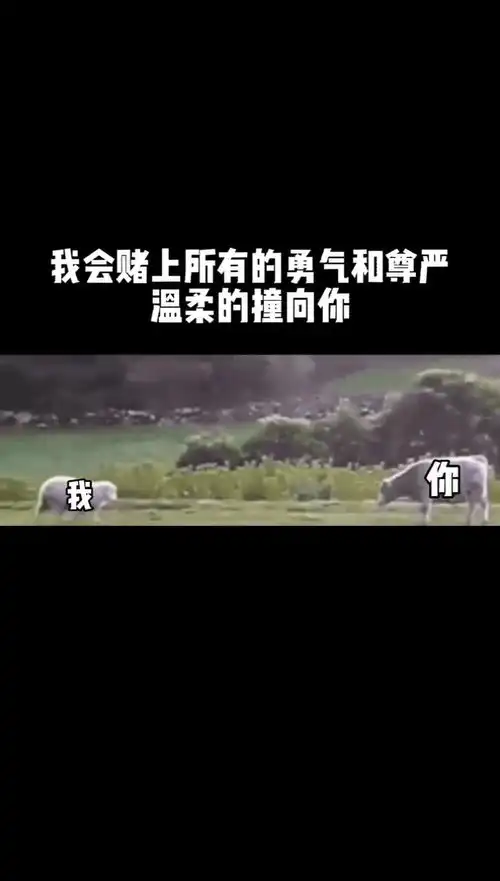 取图主页,发给最爱你的人表情包搞笑视频经典段子情侣夫妻搞笑聊天记录