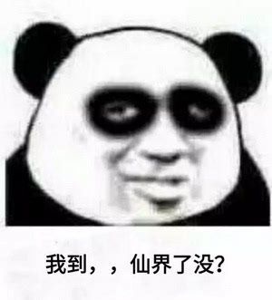  你还在涂最贵的霜,熬最晚的夜
