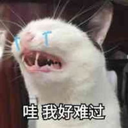  我在宁波,今年25岁,即将拥有第7套房