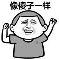 傻子表情包
