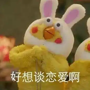  盲盒恋人偏偏遇见你丨2021射洪单身青年交友系列活动开始报名啦