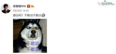 喜剧人设屹立不倒机场被保安架着走张彬彬发表情包搞笑回应  喜剧人设屹立不倒机场被保安架着走张彬彬发表情包搞笑回应