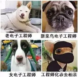  苏州的安全工资线竟是7320元,苏州人表示已经扯到脚趾甲了