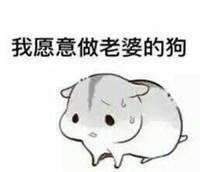  老公撒娇仓鼠表情图片男士撒娇专用表情包仓鼠版下载乐游网游戏下载