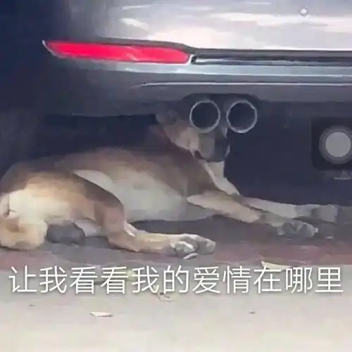  爆笑丨别嘲笑梓涵子涵的爹妈了,这些老板给公司起的名字更奇葩