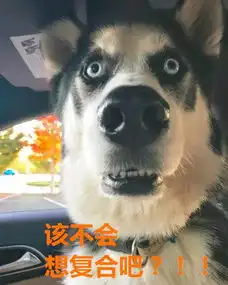  前男友突然加我微信,我就知道出事了