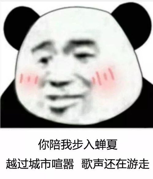  最火抖音表情包纸短情长熊猫头表情包怎么会爱上了她并决定跟她回家