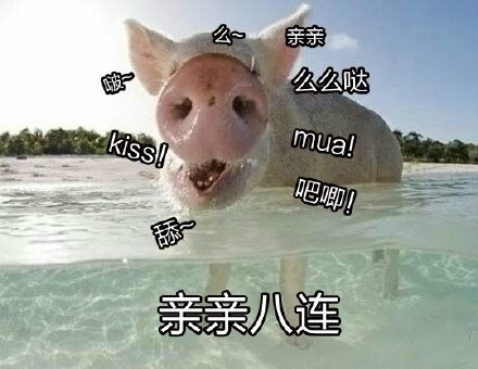  小恐龙吃掉你可爱小恐龙高糊表情包