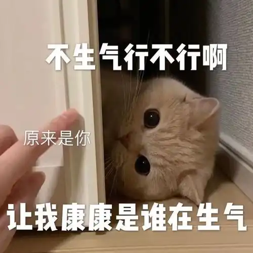  沙雕可爱表情包悔恨臭宝