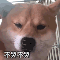  可爱沙雕表情包你的绿帽子掉了