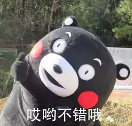  日本土豪公务员最全逗逼表情包笑死宝宝了